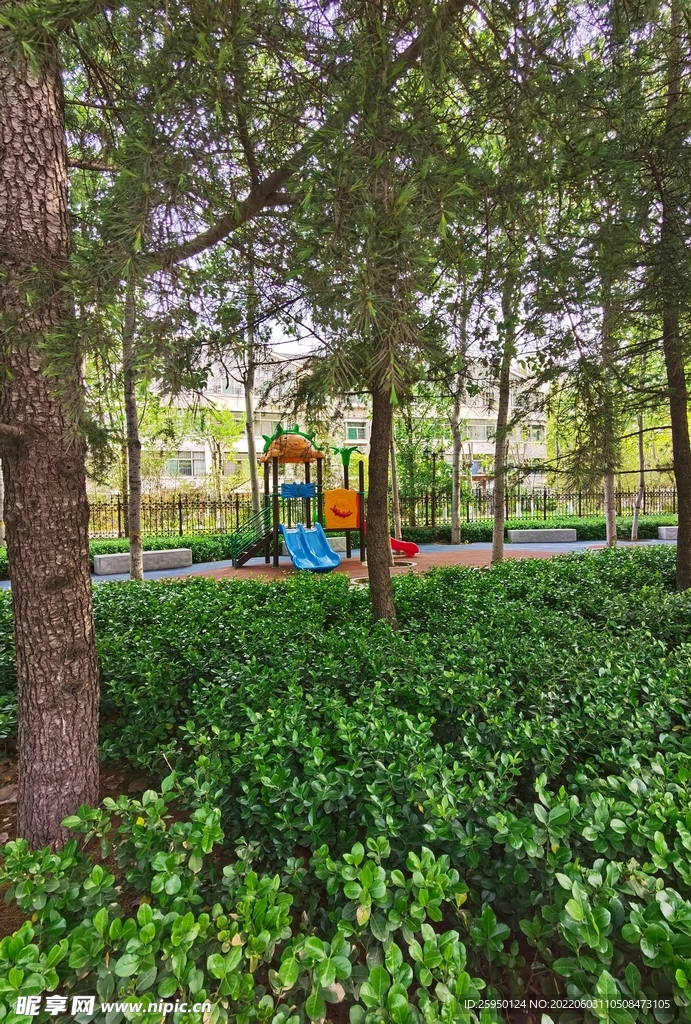 小树林和滑梯