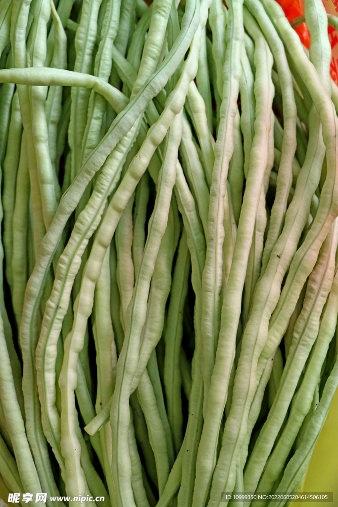 长豆角