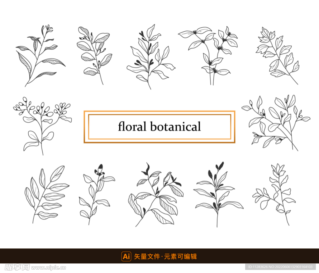 精美手绘植物枝条
