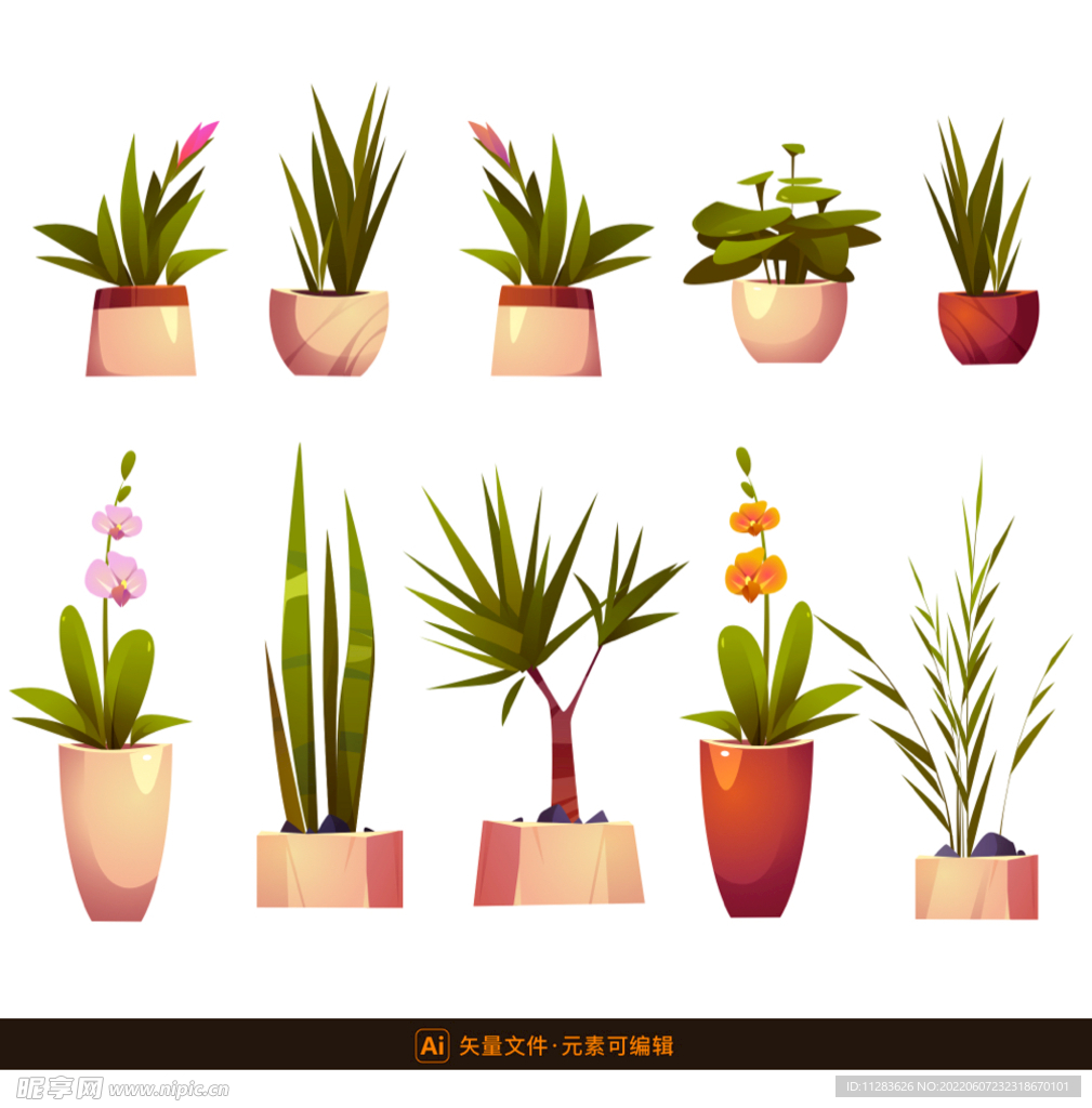 盆栽植物插画素材
