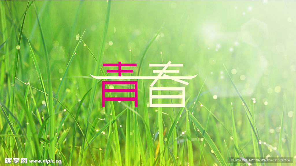 字体设计
