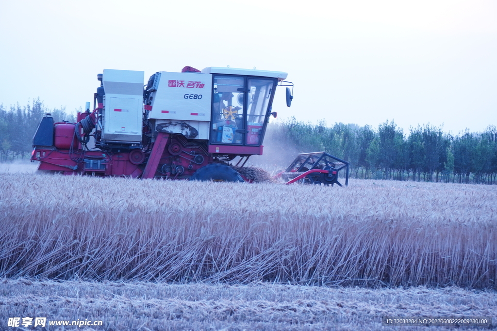 小麦收割
