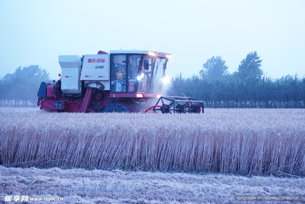 小麦收割