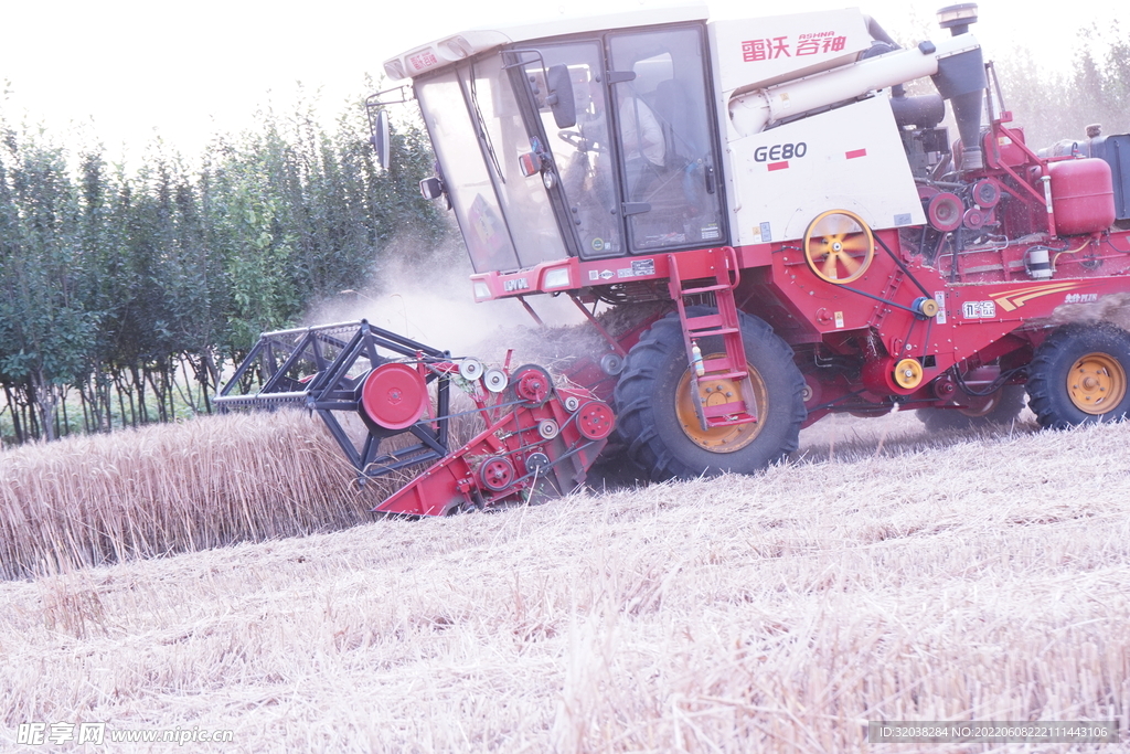 小麦收割