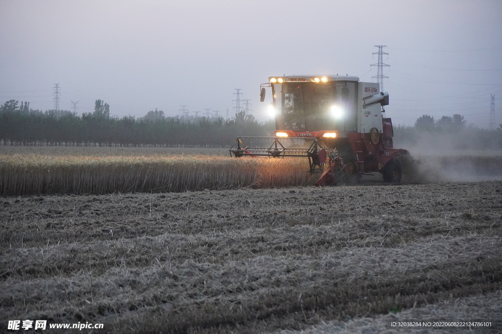 小麦收割