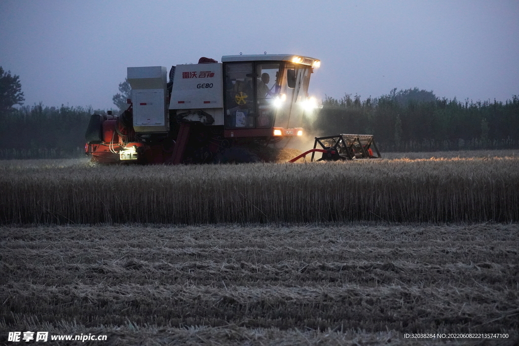 小麦收割