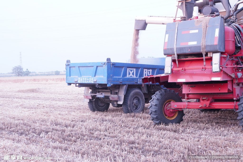 小麦收割