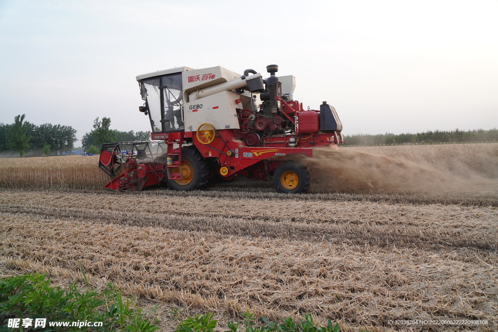 小麦收割