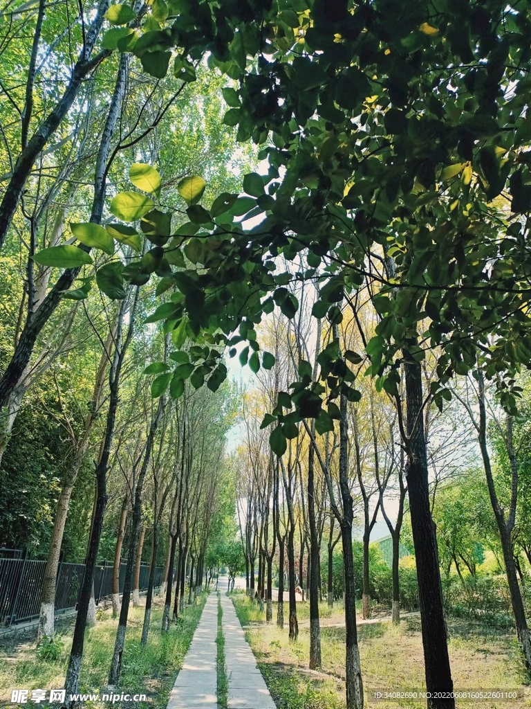 新绿溶溶涨暖香