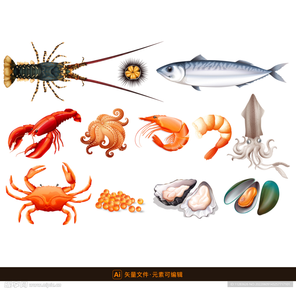 海鲜矢量插画