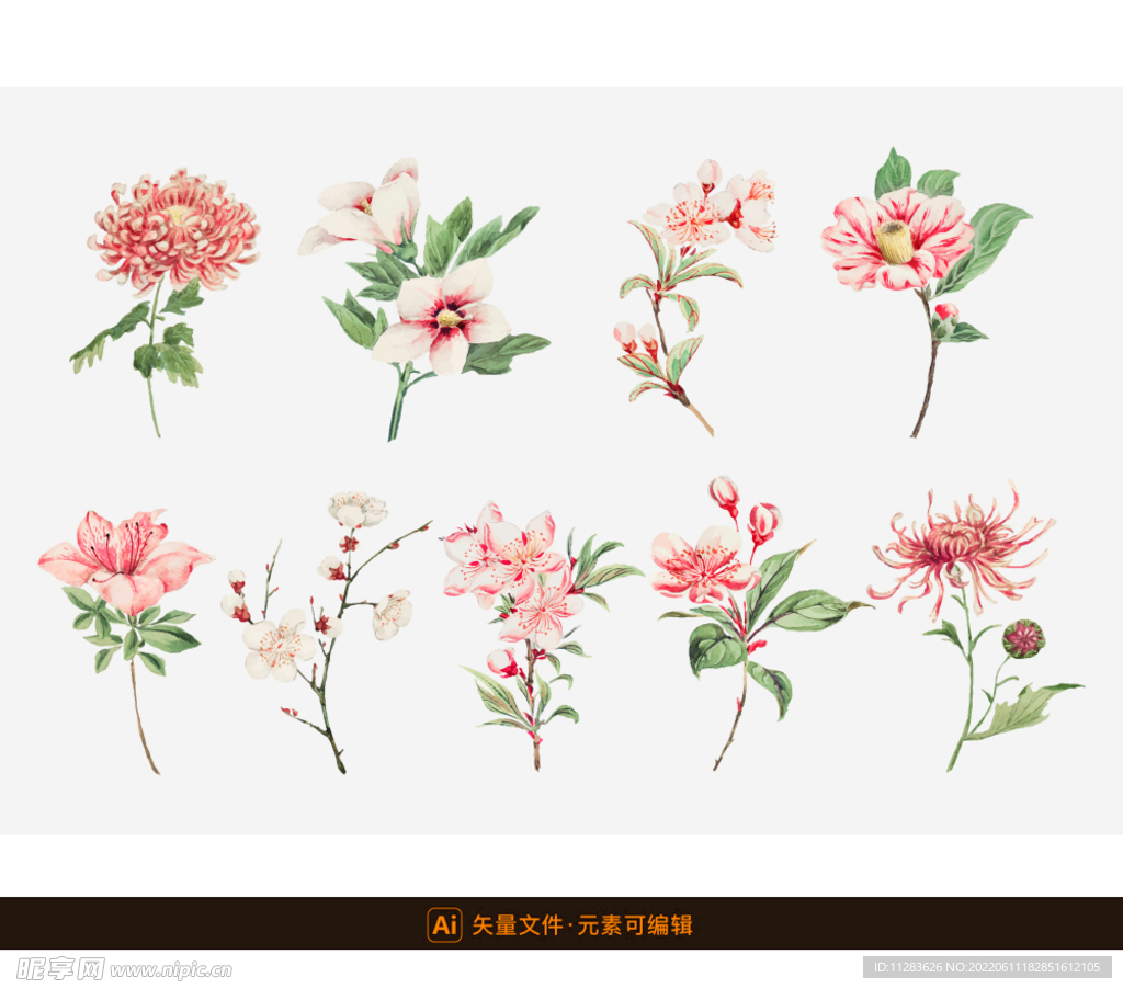 手绘中国风水彩花卉