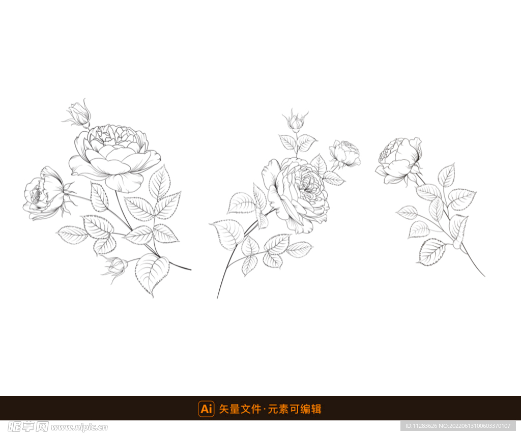 精致白描玫瑰花