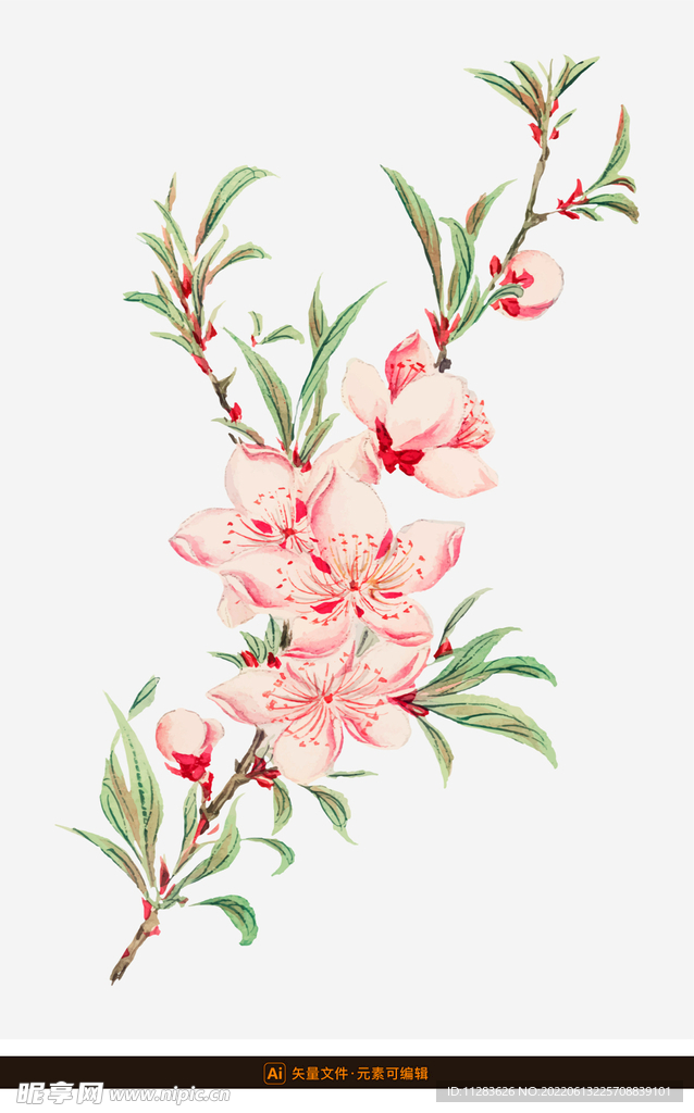 手绘水彩桃花素材