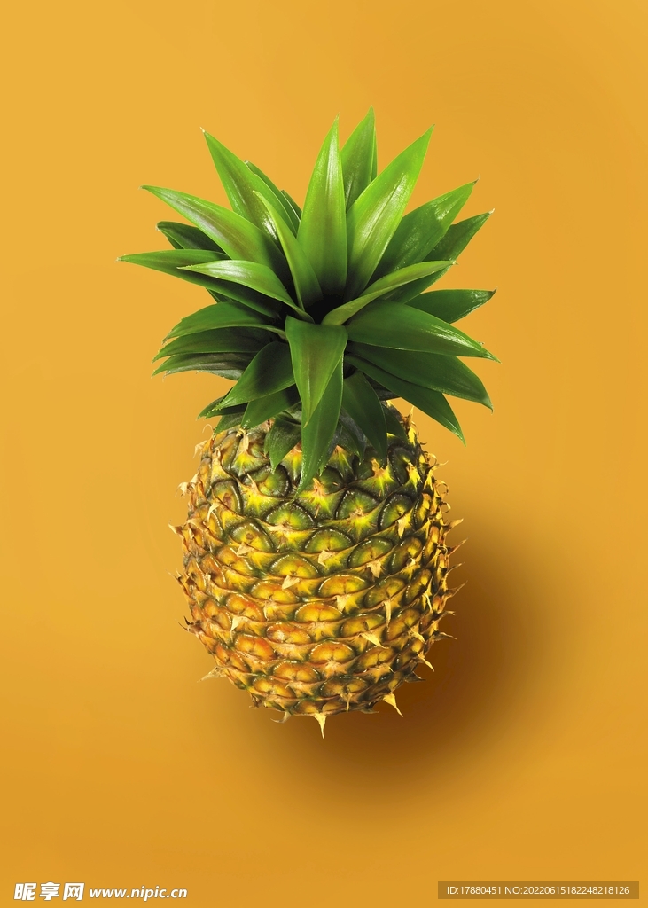 菠萝