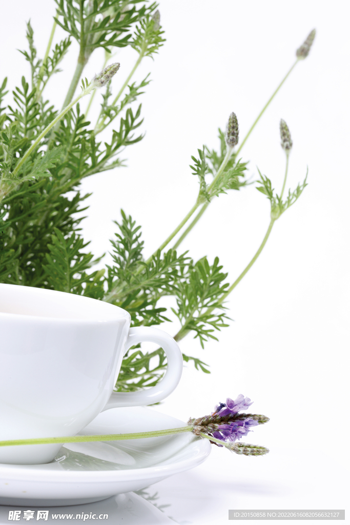 花茶图片