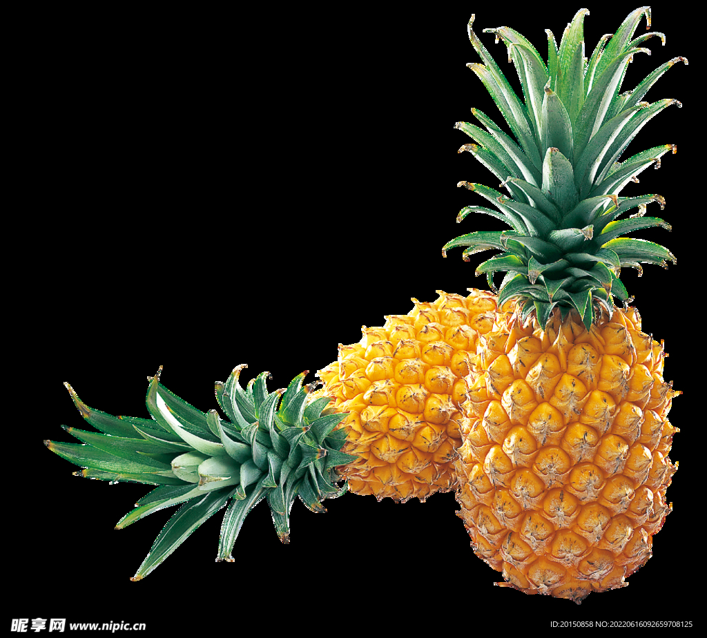 菠萝水果图片