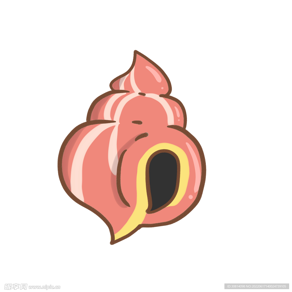 黑白海螺