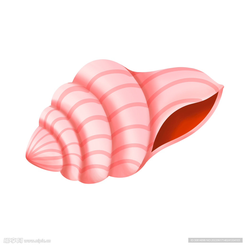 海螺