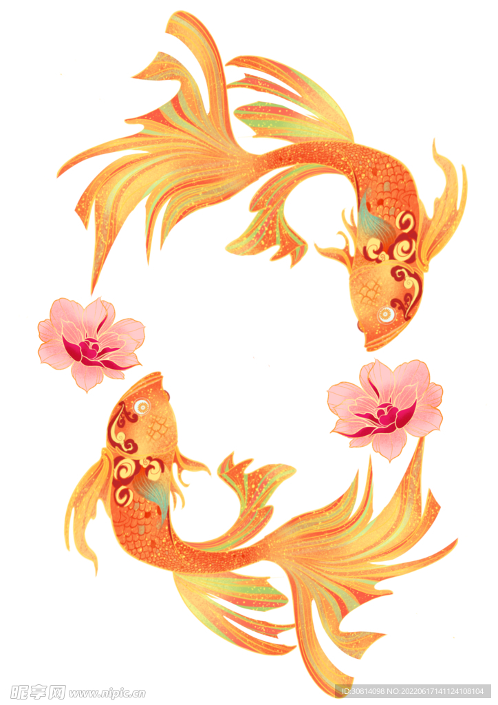 锦鲤插画