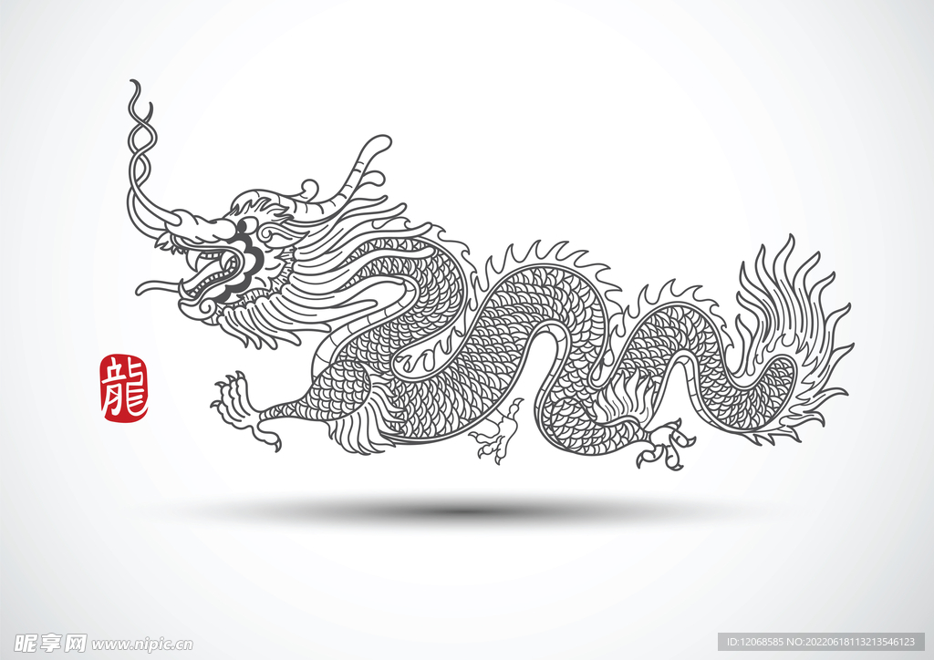 龙 