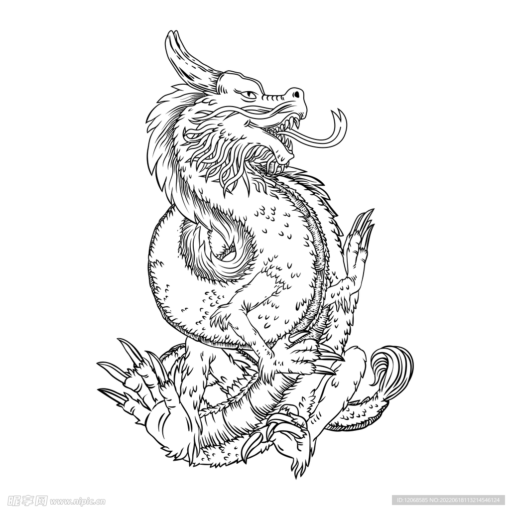 龙 