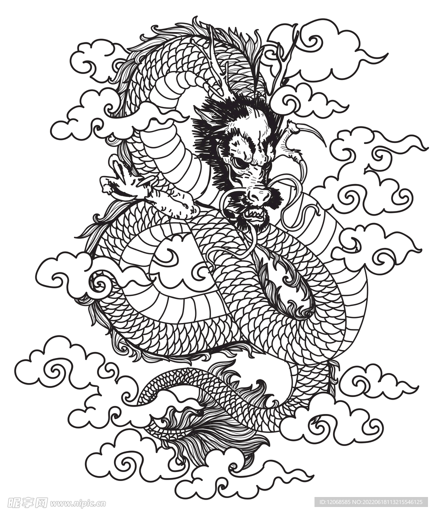 龙 