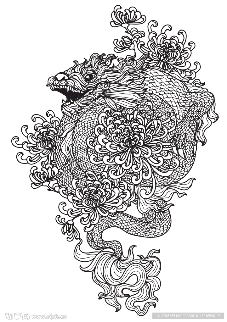龙 
