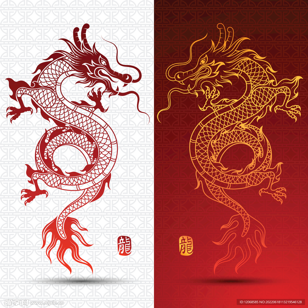 龙 