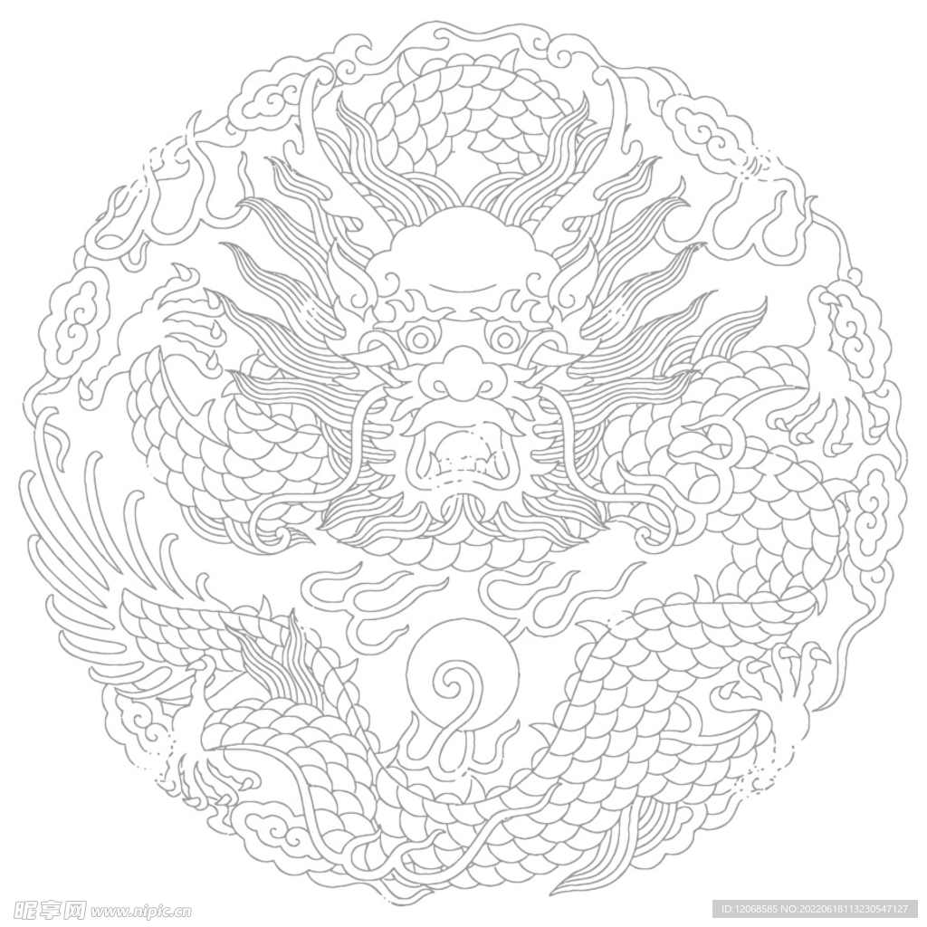 龙 
