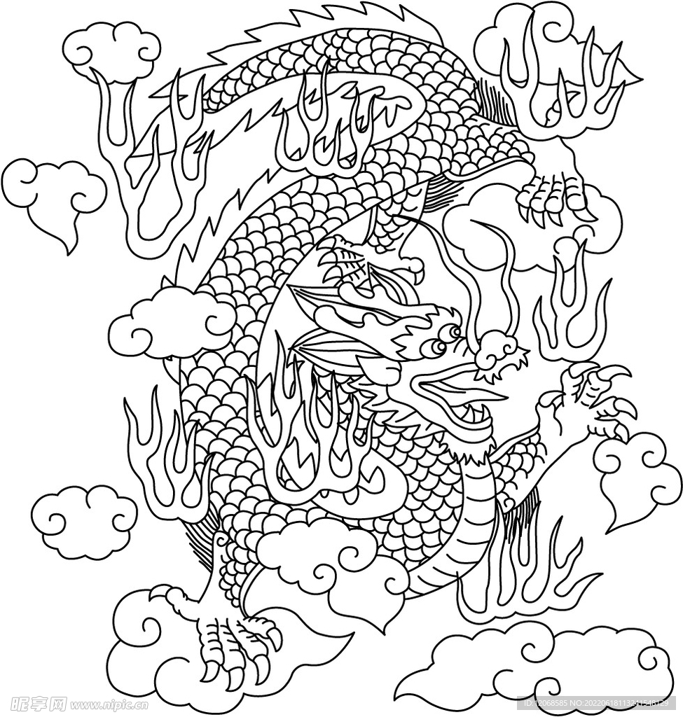龙 