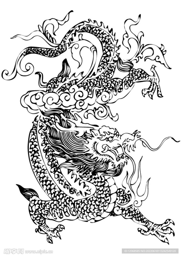 龙 