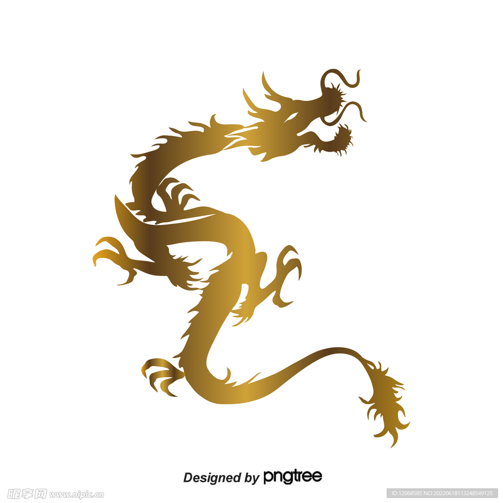 龙 