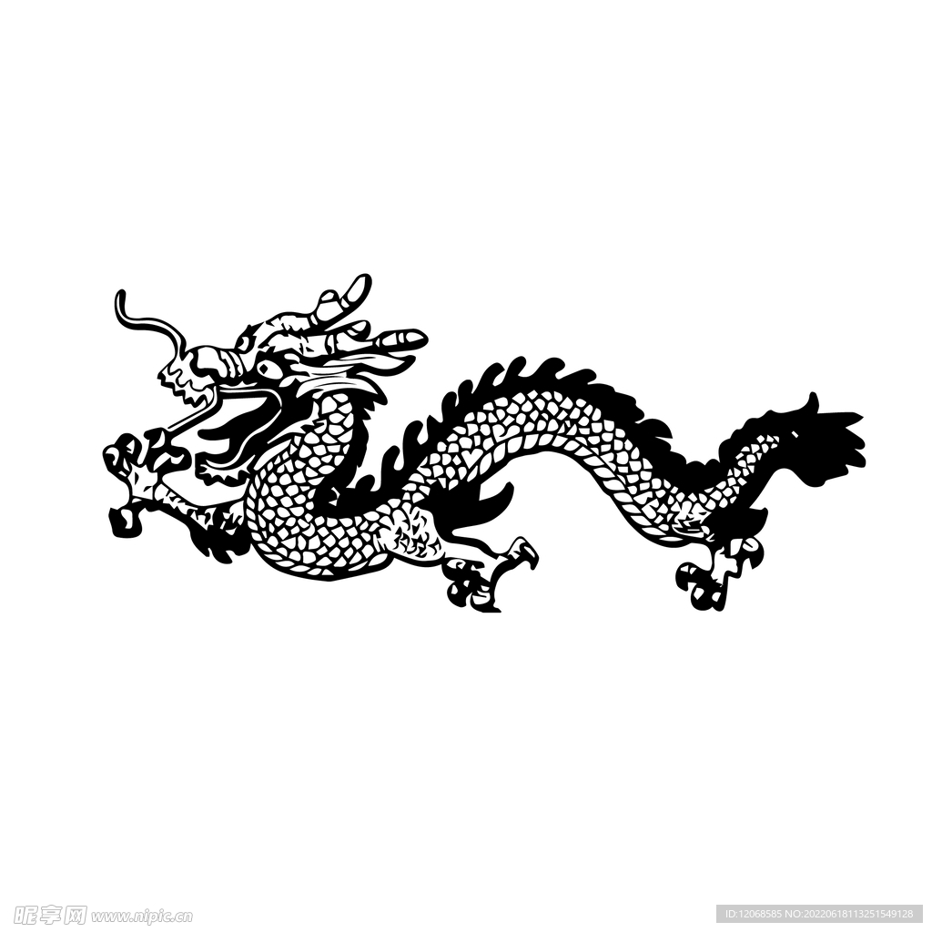 龙