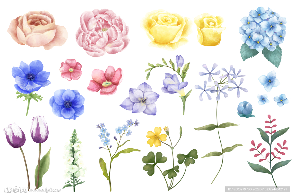 插画花卉元素