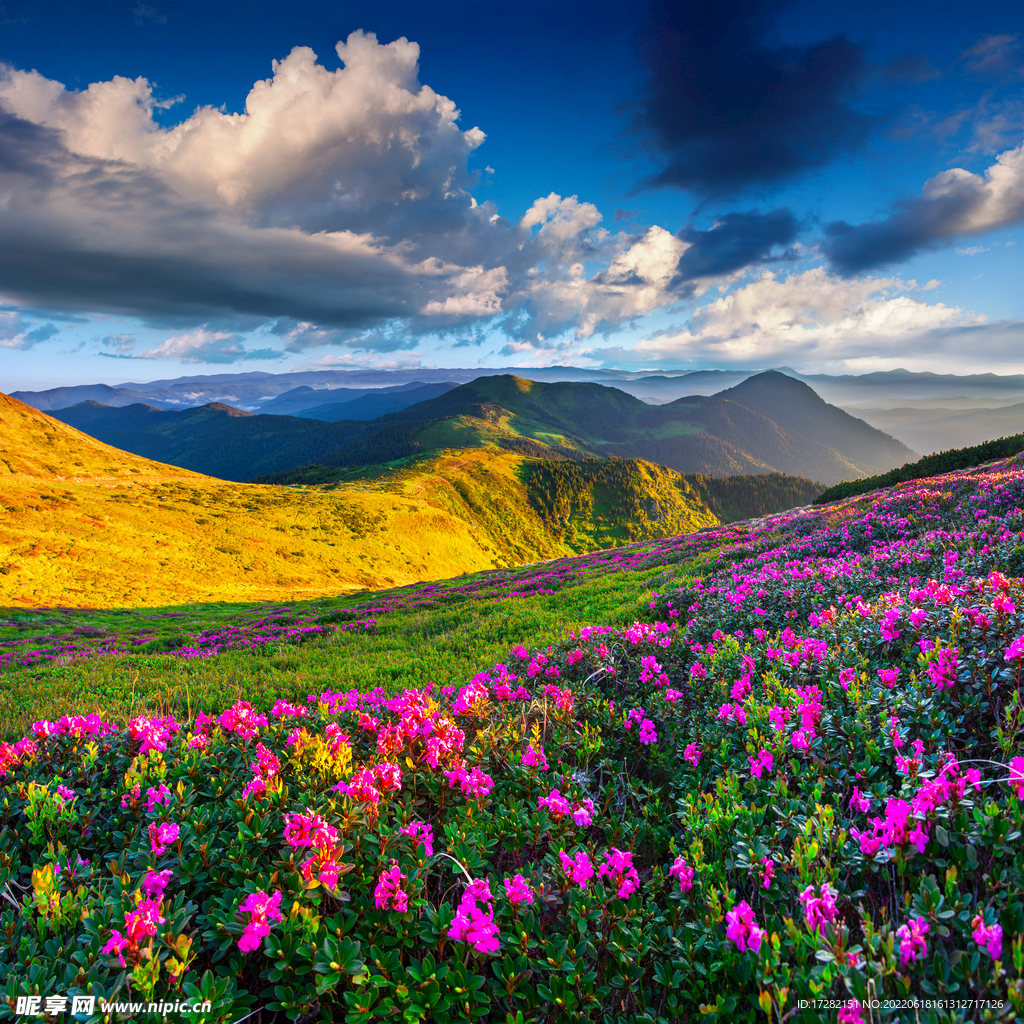 崇山峻岭     摄影    