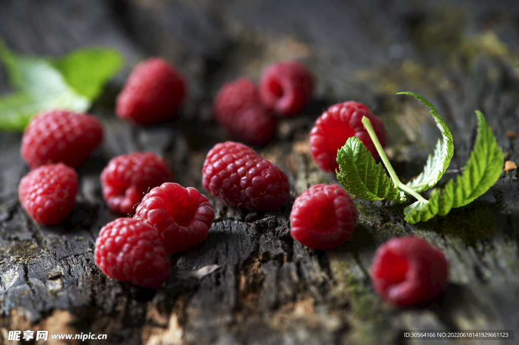 新鲜桑葚树莓水果