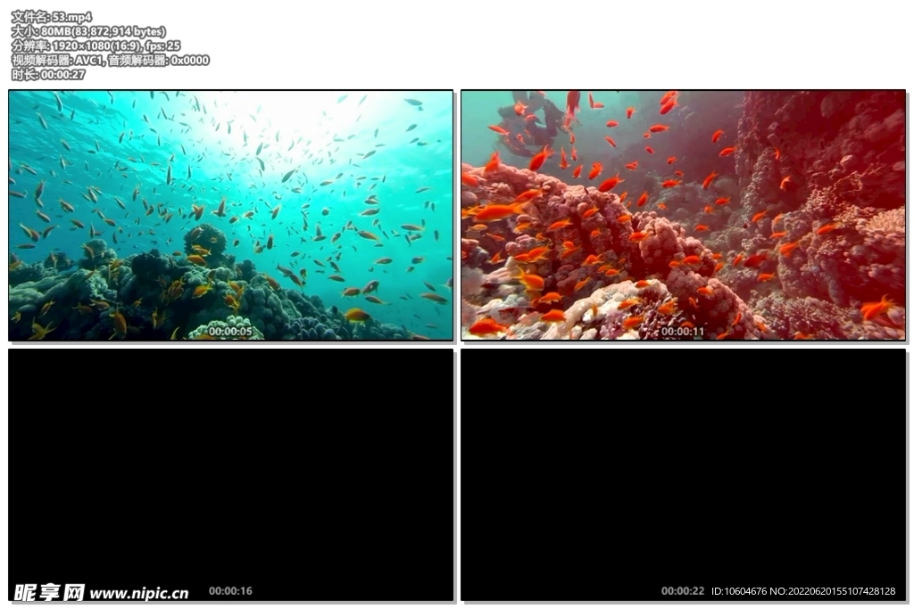 海底世界