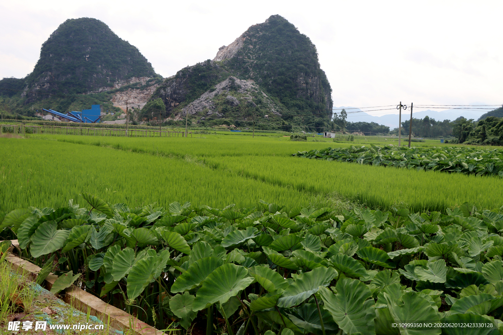 贺州农村风光