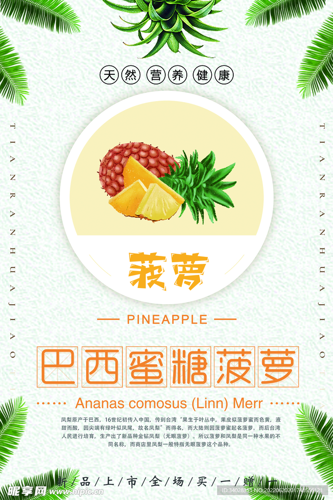 菠萝海报