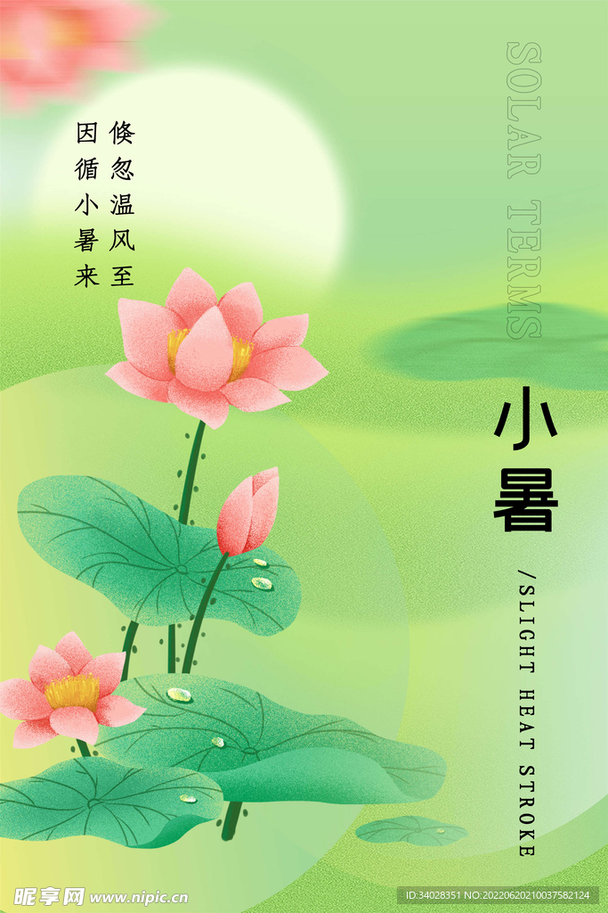 小暑海报