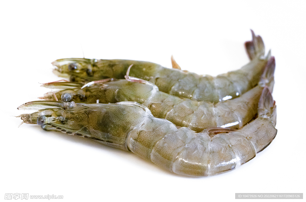 海虾类海鲜水产摄影