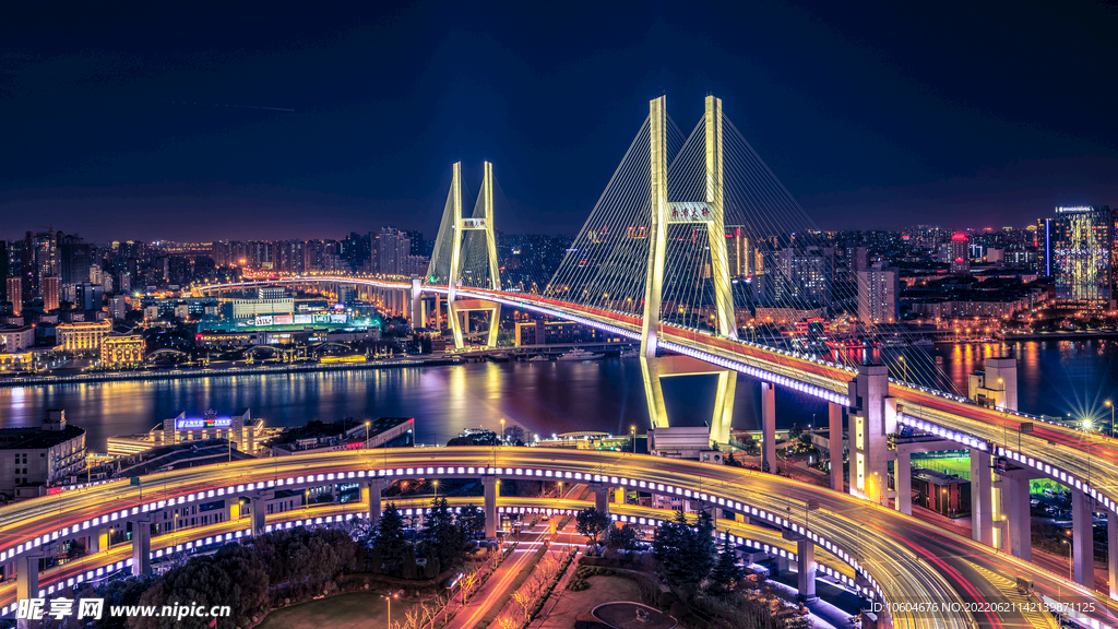 上海杨浦大桥夜景