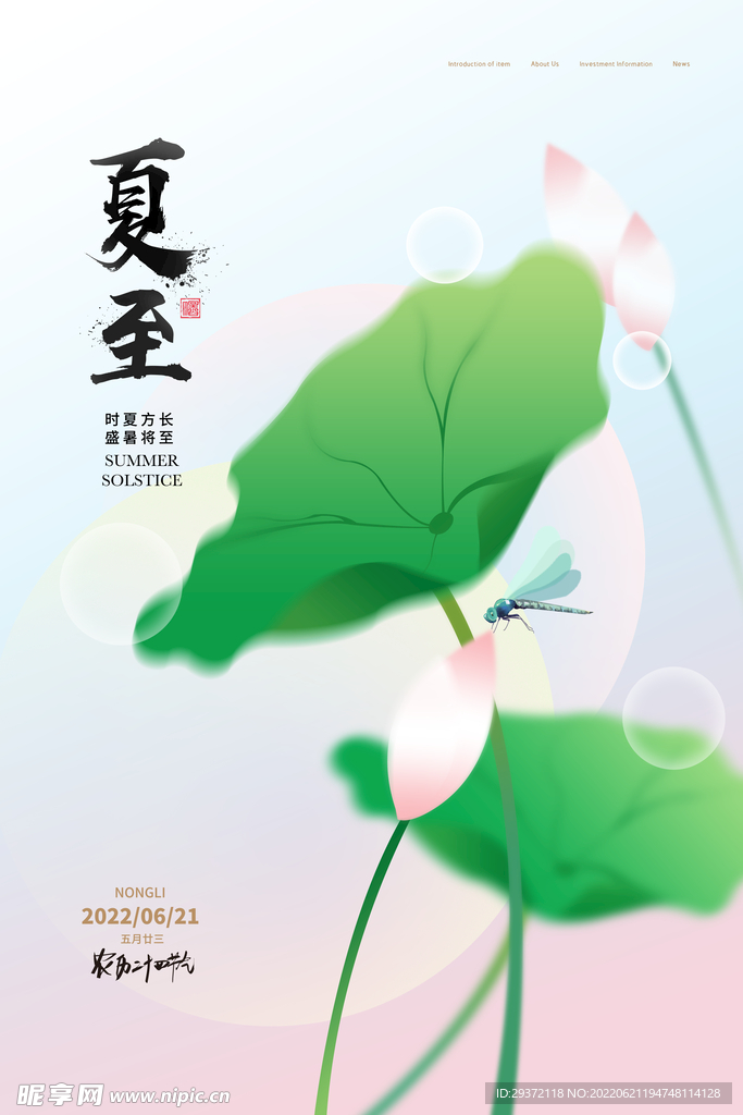创意小清新荷花夏至宣传海报