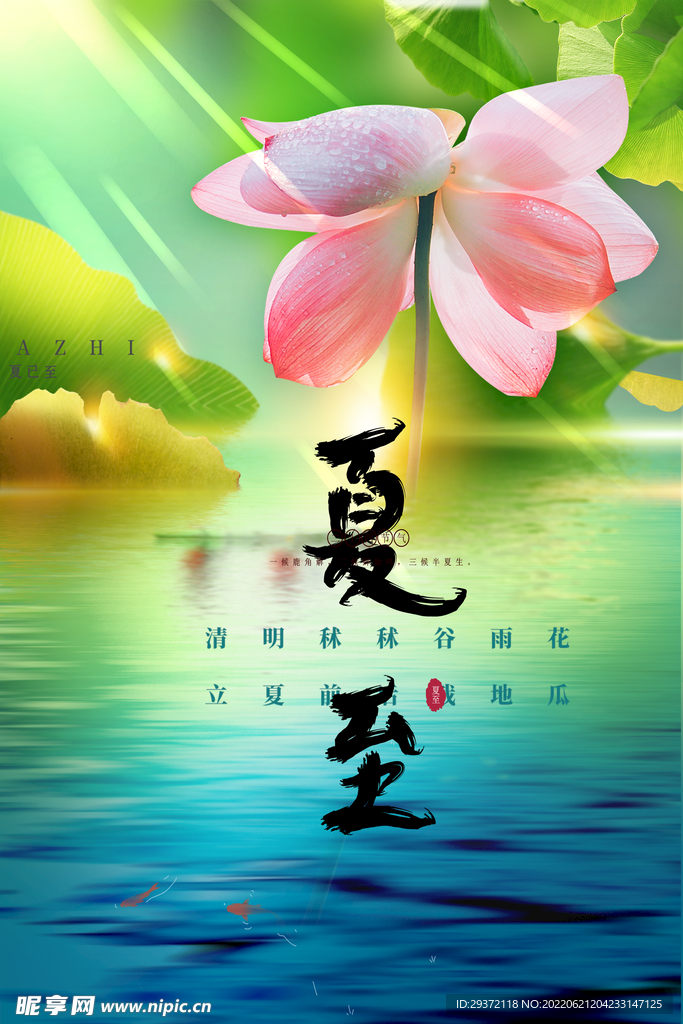 夏至二十四节气荷花绿色海报