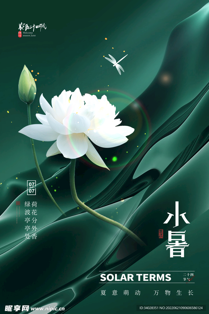 小暑海报