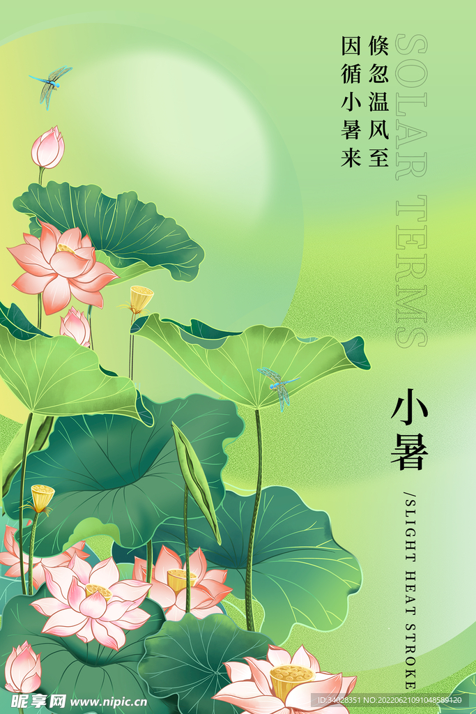 小暑海报