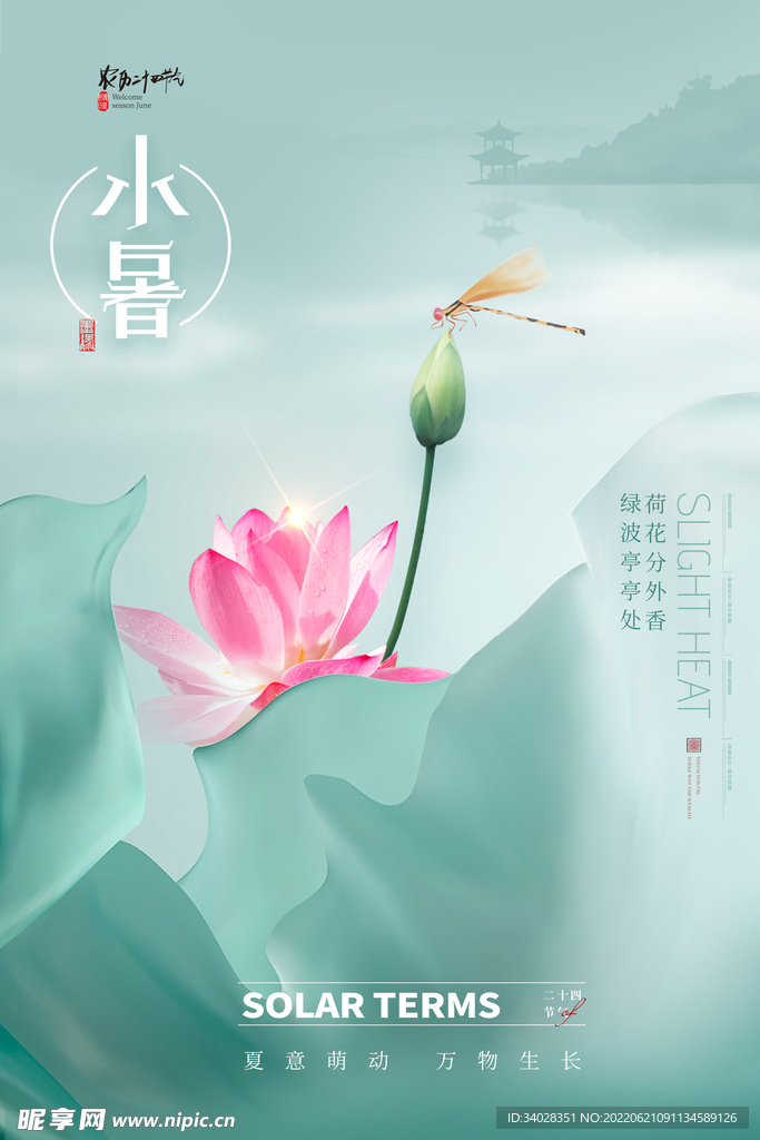 小暑海报