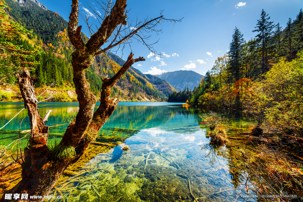 山水风景