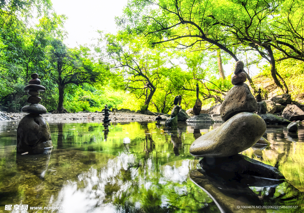 绿色草地