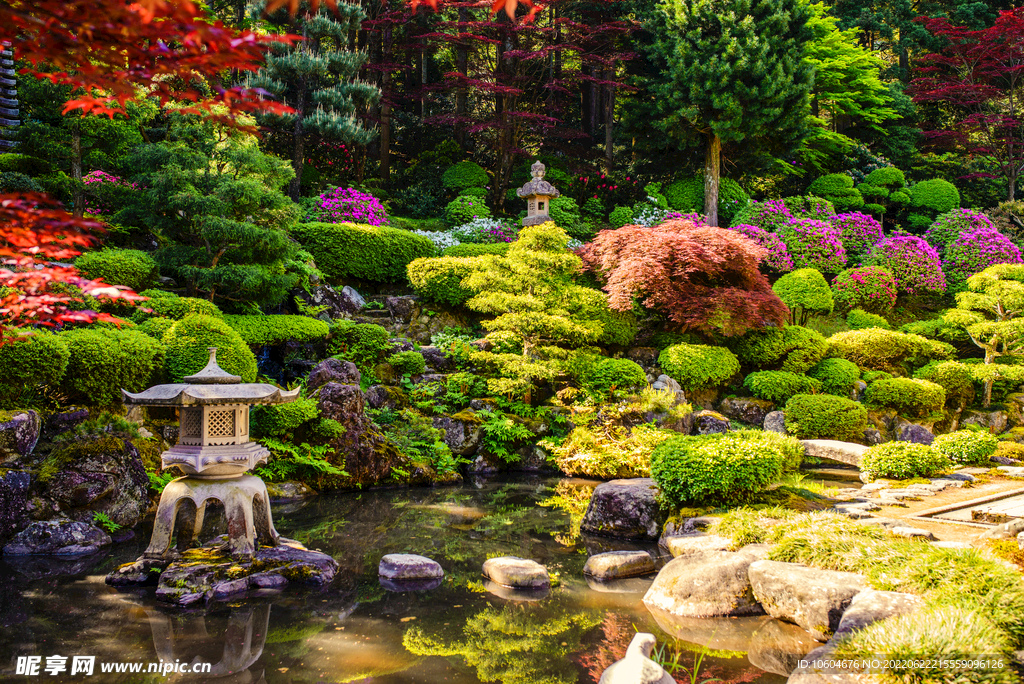 绿色草地